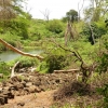 Zdjęcie z Kenii - Mzima Springs