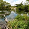 Zdjęcie z Kenii - Mzima Springs