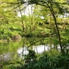 Zdjęcie z Kenii - Mzima Springs