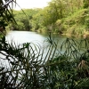 Zdjęcie z Kenii - Mzima Springs