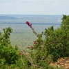 Zdjęcie z Kenii - sawanna, Tsavo Zachodnie
