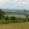 Zdjęcie z Kenii - stanowisko wabienia lamparta w gotowości:))