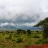 Zdjęcie z Kenii - sawanna po ulewie