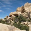 Zdjęcie ze Stanów Zjednoczonych - Joshua Tree N.Park