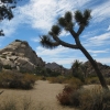 Zdjęcie ze Stanów Zjednoczonych - Joshua Tree N.Park