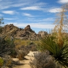 Zdjęcie ze Stanów Zjednoczonych - Joshua Tree N.Park