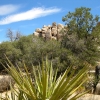 Zdjęcie ze Stanów Zjednoczonych - Joshua Tree N.Park