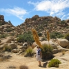 Zdjęcie ze Stanów Zjednoczonych - Joshua Tree N.Park