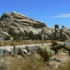 Zdjęcie ze Stanów Zjednoczonych - Joshua Tree N.Park