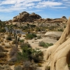 Zdjęcie ze Stanów Zjednoczonych - Joshua Tree N.Park