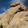 Zdjęcie ze Stanów Zjednoczonych - Joshua Tree N.Park