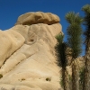 Zdjęcie ze Stanów Zjednoczonych - Joshua Tree N.Park