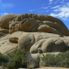 Zdjęcie ze Stanów Zjednoczonych - Joshua Tree N.Park