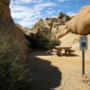 Zdjęcie ze Stanów Zjednoczonych - Joshua Tree N.Park