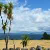 Zdjęcie z Nowej Zelandii - Lake Taupo