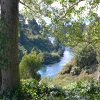 Zdjęcie z Nowej Zelandii - Waikato River