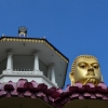 Zdjęcie ze Sri Lanki - DAMBULLA