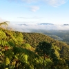 Zdjęcie ze Sri Lanki - HORTON PLAINS - ROWNINY HORTONA ROBIA MEGA WRAZENIE