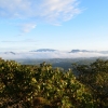 Zdjęcie ze Sri Lanki - HORTON PLAINS