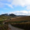Zdjęcie ze Sri Lanki - HORTON PLAINS