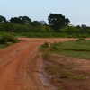 Zdjęcie ze Sri Lanki - YALA NATIONAL PARK