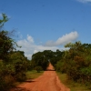 Zdjęcie ze Sri Lanki - YALA NATIONAL PARK