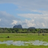 Zdjęcie ze Sri Lanki - YALA NATIONAL PARK