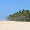 Zdjęcie ze Sri Lanki - KOGGALA