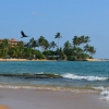 Zdjęcie ze Sri Lanki - HIKKADUWA