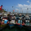 Zdjęcie ze Sri Lanki - PORT W MIRISSIE