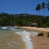 Zdjęcie ze Sri Lanki - MIRISSA BEACH