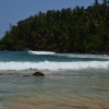 Zdjęcie ze Sri Lanki - MIRISSA BEACH