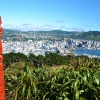 Zdjęcie z Nowej Zelandii - Panorama Wellington ze wzgorza Mount Victoria