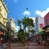 Zdjęcie z Nowej Zelandii - Cuba Street - glowny deptak Wellington