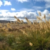 Zdjęcie z Nowej Zelandii - W drodze z Taupo do Wellington