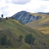 Zdjęcie z Nowej Zelandii - W drodze z Taupo do Wellington