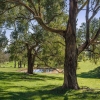 Zdjęcie z Australii - Pastwiska Kangarilli, widac stawik zwany billabong