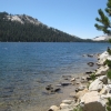 Zdjęcie ze Stanów Zjednoczonych - Yosemite NP