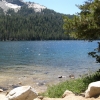 Zdjęcie ze Stanów Zjednoczonych - Yosemite NP