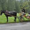 Zdjęcie z Polski - Taxi :)