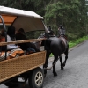 Zdjęcie z Polski - W drodze na Morskie Oko