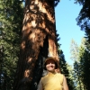 Zdjęcie ze Stanów Zjednoczonych - Yosemite NP