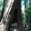 Zdjęcie ze Stanów Zjednoczonych - Yosemite NP