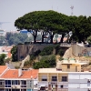 Zdjęcie z Portugalii - 