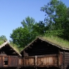 Zdjęcie z Norwegii - skansen wikingów