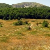 Zdjęcie z Macedonii - Park narodowy Galicica.