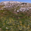 Zdjęcie z Macedonii - Park narodowy Galicica.