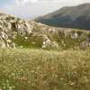 Zdjęcie z Macedonii - Park narodowy Galicica.