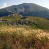 Zdjęcie z Macedonii - Park narodowy Galicica.