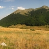 Zdjęcie z Macedonii - Park narodowy Galicica.